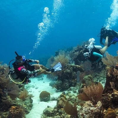 Dives Guru - PADI Divemaster