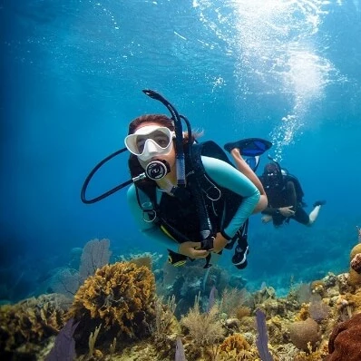 Dives Guru - PADI Open Water Course