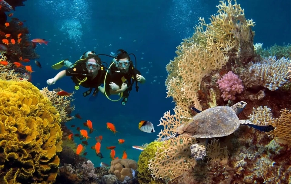 Dives Guru - Scuba Diving